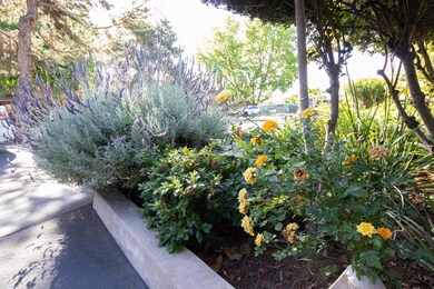 Front Landscape