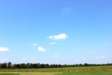 13ACRES County Road 168, Alvin, TX 77511 - photo 5