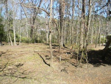 126 Pinckney Rd, Santee, SC 29142 - photo 7