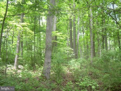 0 Cannon Ridge Ln unit 1004512532, Middleburg, VA 20117 - photo 4