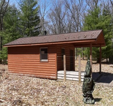 Cabin Outside 3