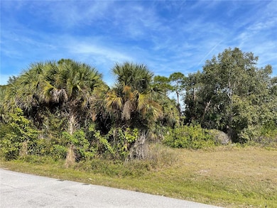 12152 Borax Ave, Punta Gorda, FL 33955 - photo 4