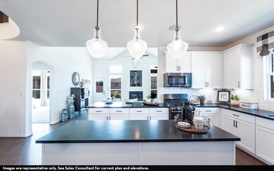 16709 Lacey Dr, Celina, TX 75009 - photo 6