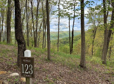 Vann Lot 123 Pic 10