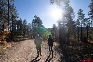 910 Red Canyon Trail, Durango, CO 81301 - photo 6