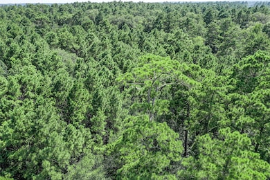 0 Red Hawk Rd unit 24641691, Huntsville, TX 77340 - photo 4