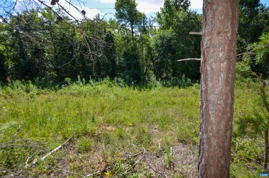 0 Dudley Mountain Rd unit 667914, North Garden, VA 22959 - photo 7