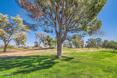 18805 N Conestoga Dr, Sun City, AZ 85373 - photo 4