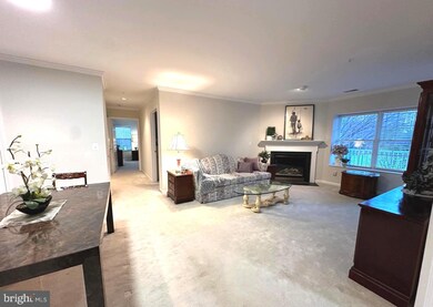 12103 Tullamore Ct unit 204, Lutherville Timonium, MD 21093 - photo 3