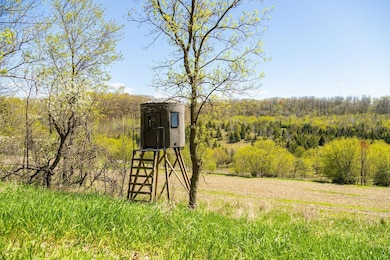 0 Hurlburt Rd unit NST6820305, Mondovi, WI 54755 - photo 3