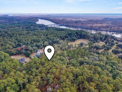 7 Santee Landing Rd, Georgetown, SC 29440 - photo 5