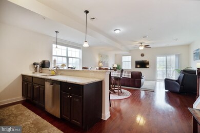 809 Spring Mill Ave unit B, Conshohocken, PA 19428 - photo 4