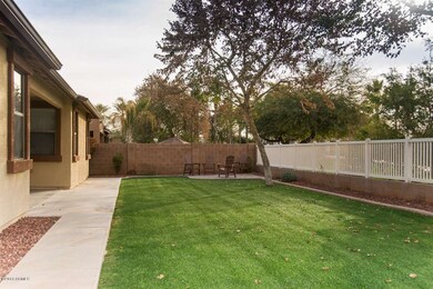 Large grassy backyard