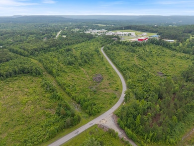 3 acres Highway 336 E, Clinton, AR 72031 - photo 7