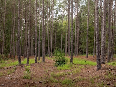 0 Neal Shoals Rd, Union, SC 29379 - photo 5