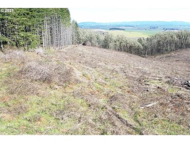 0 Red Hawk Ln unit 3 21170025, Sheridan, OR 97378 - photo 5