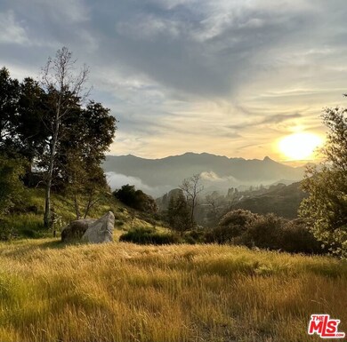 935 Cold Canyon, Calabasas, CA 91302 - photo 5