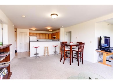 409 Farrell St unit 315, South Burlington, VT 05403 - photo 4