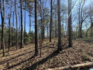 67 Cove Dr unit 67, Vincent, AL 35178 - photo 7