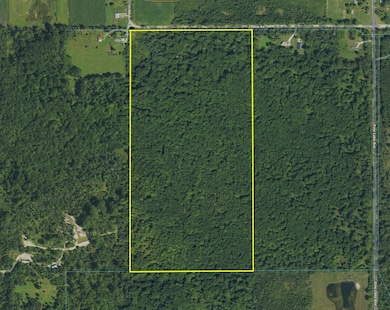 Screenshot 2025-11-10 at 1.13.09PM