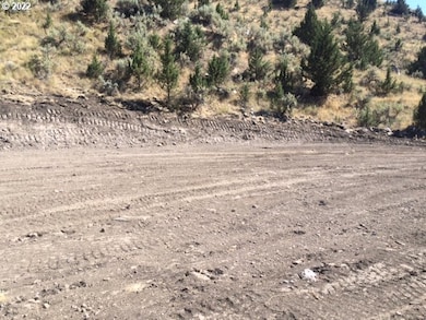 0 County Rd 74b unit 11554207, John Day, OR 97845 - photo 6