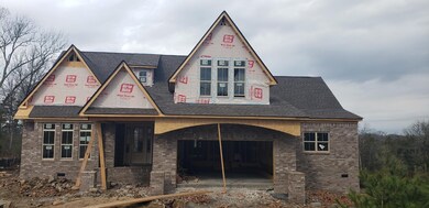 Keep watching for photos as home progresses!  Many interior selections available.