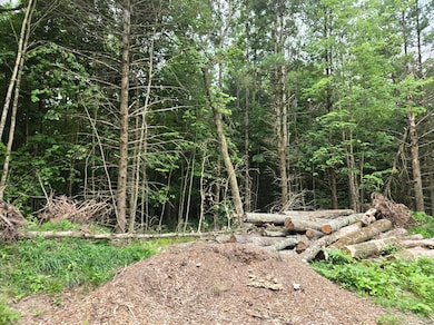 5369 E 68th St, Chase Township, MI 49623 - photo 4