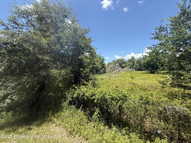 0 Goolsby St unit 2254412, Webster, FL 33597 - photo 4