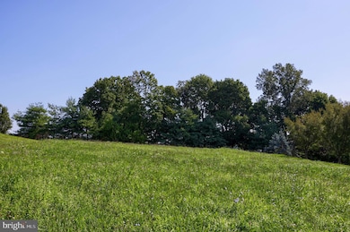 540 Monocacy Trail, Spring Grove, PA 17362 - photo 4