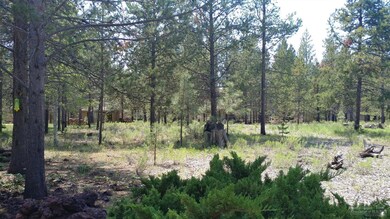 17708 Wickiup Ln, Sunriver, OR 97707 - photo 5