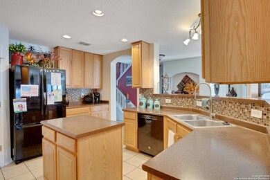 10911 Winecup Field, Helotes, TX 78023 - photo 6