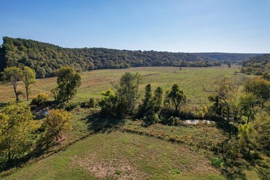 4495 County Rd 405, Alton, MO 65606 - photo 7