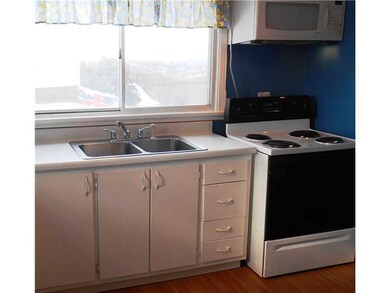 Kitchen. Stove, refrigerator, dishwasher and micro