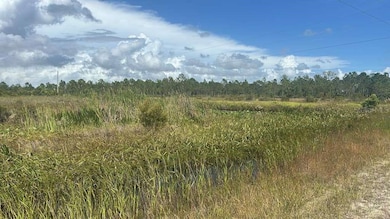 16057 NW 308th St, Okeechobee, FL 34972 - photo 3