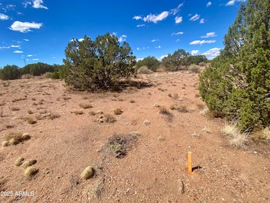 5) 65267-6915e71eb06f6