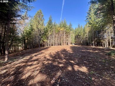 9562 Cook-Underwood Rd, Underwood, WA 98651 - photo 6