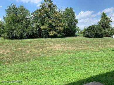 Back Yard (1)