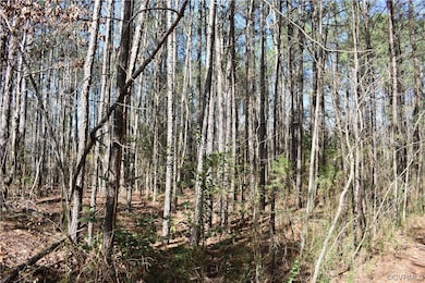 0 Lewis Tyler Lane (Rt 620) Ave unit 2304681, Charles City, VA 23030 - photo 3