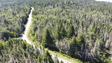 DJI_0385