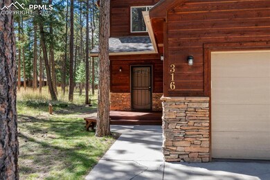 316 N Walnut St, Woodland Park, CO 80863 - photo 2