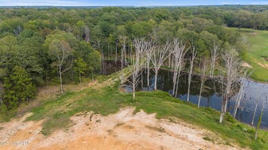 02-DJI_20240911155327_0158_D