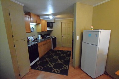 130 Lakeview Trail, Weatherford, TX 76087 - photo 6