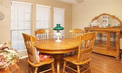 302 De la Cruz St, Weatherford, TX 76085 - photo 7