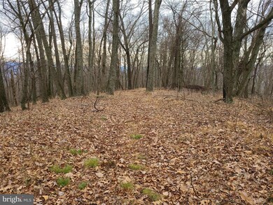 19 High Knob Rd, Old Fields, WV 26845 - photo 7