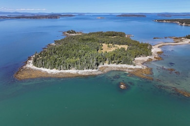 Sheephead Island, Deer Isle, ME 04627 - photo 3