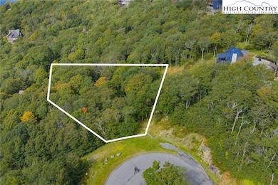 11 Fox Crest Rd, Beech Mountain, NC 28604 - photo 4