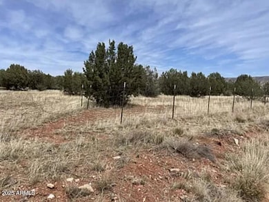 30386 W Basconia Rd unit 4394, Seligman, AZ 86337 - photo 2