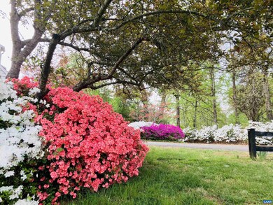 4051 Free Union Rd, Charlottesville, VA 22901 - photo 5