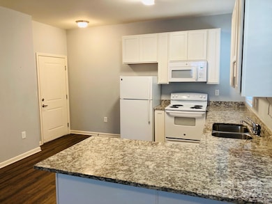 17905 Delmas Dr unit 301, Cornelius, NC 28031 - photo 3