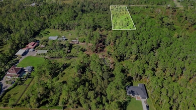 0 Quail Nest Ln unit MFRO6353244, New Smyrna Beach, FL 32168 - photo 3